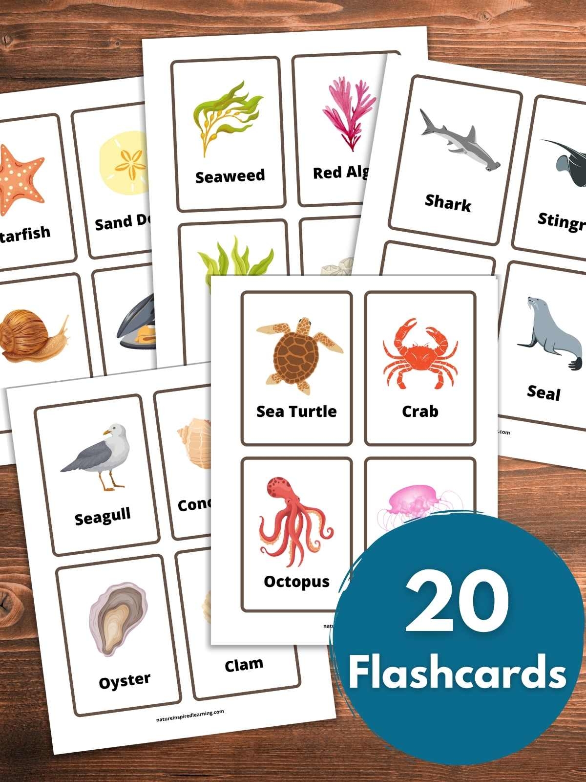 Ocean Flashcards Printable Nature Inspired Learning