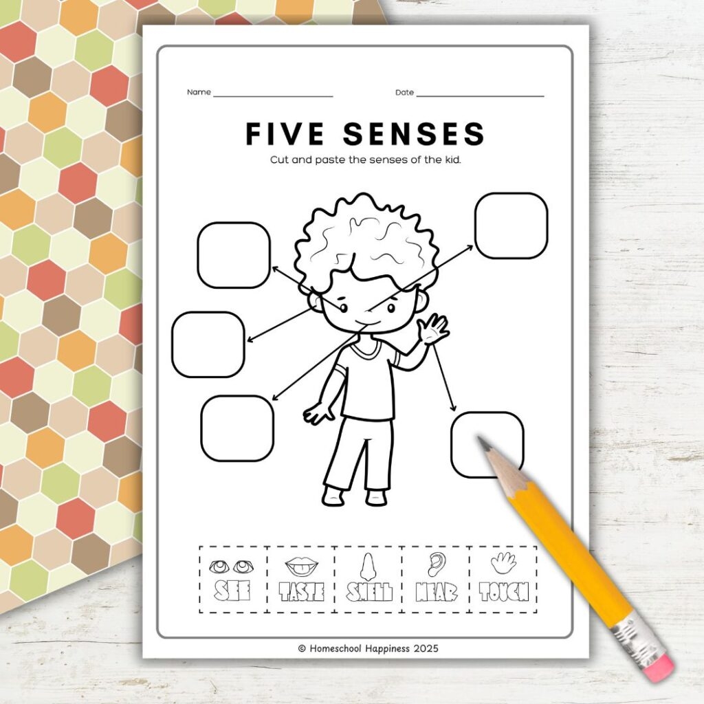 Five Senses Worksheets Free Printables