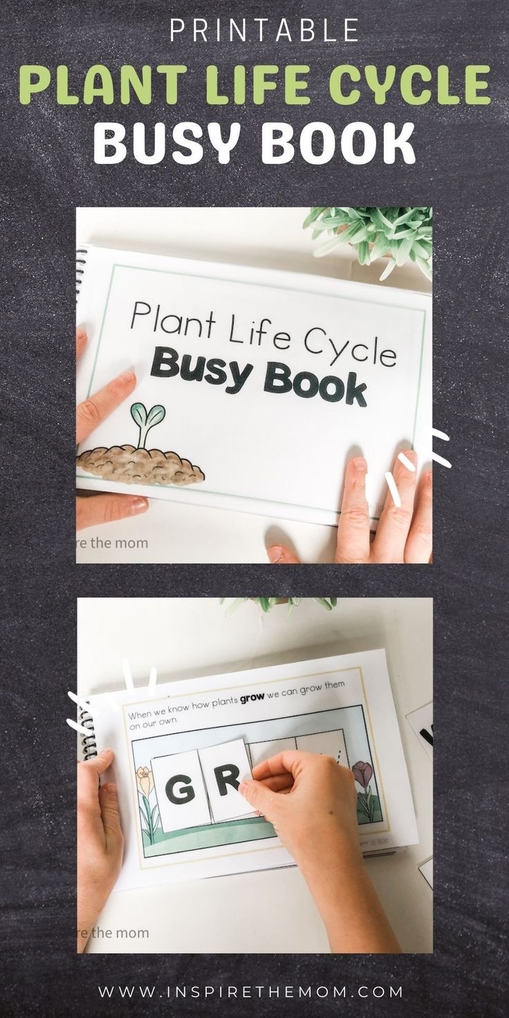 Printable Plant Life Cycle Busy Book Inspire The Mom