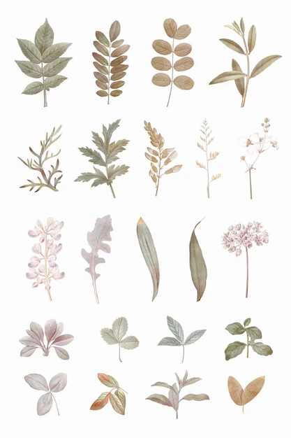 Printable Sticker Vectors Download Free High Quality Vectors 