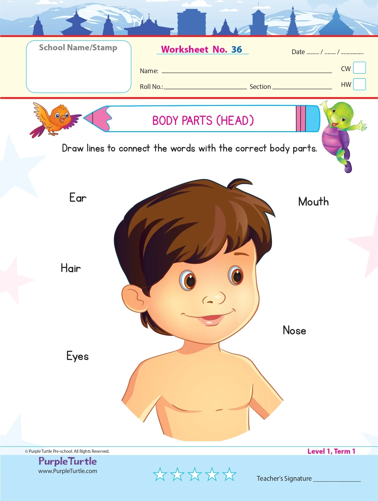 Purple Turtle Worksheets For Nursery English Maths amp EVS 100 