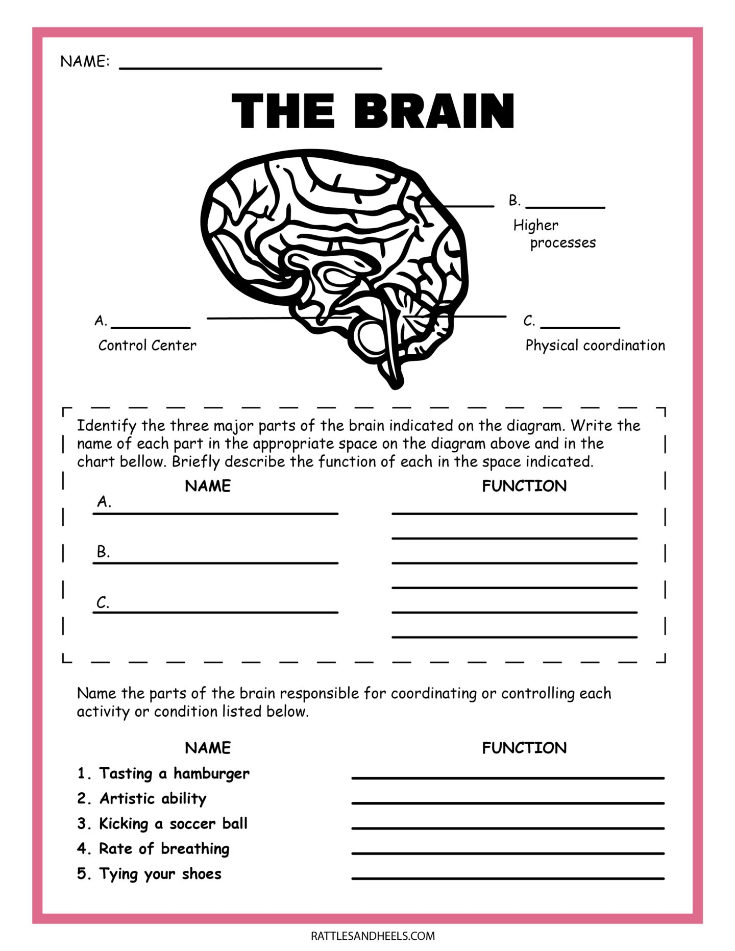 Science Worksheets Printable Free