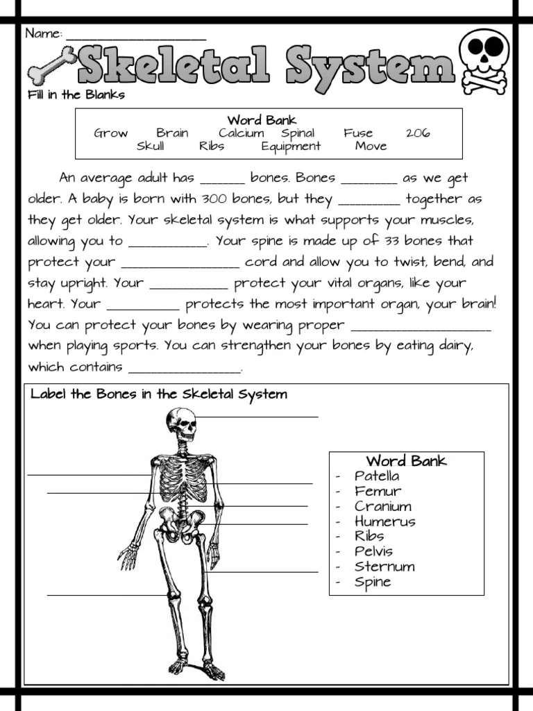 Skeletal System Worksheet For Grade 5 PDF Human Body Skeleton