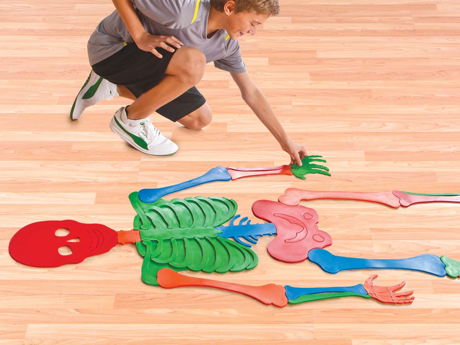 Skeleton Puzzle For Kids