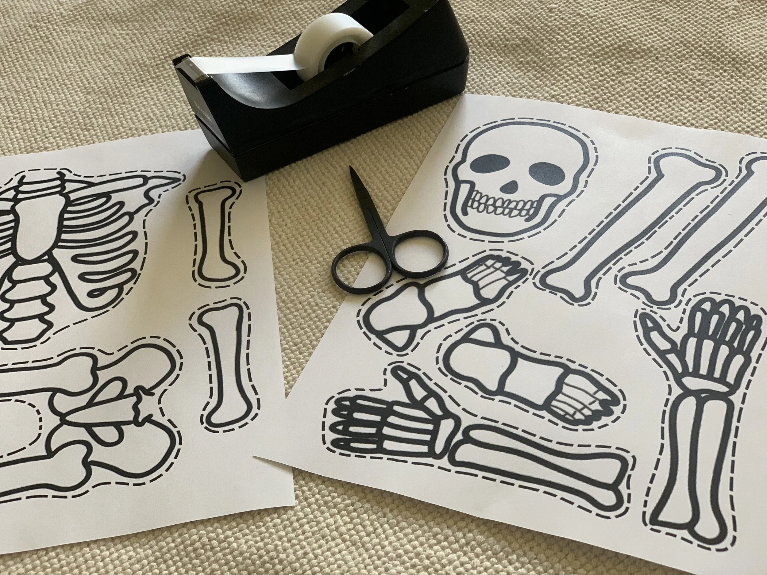 Skeleton Puzzle Missy Montessori