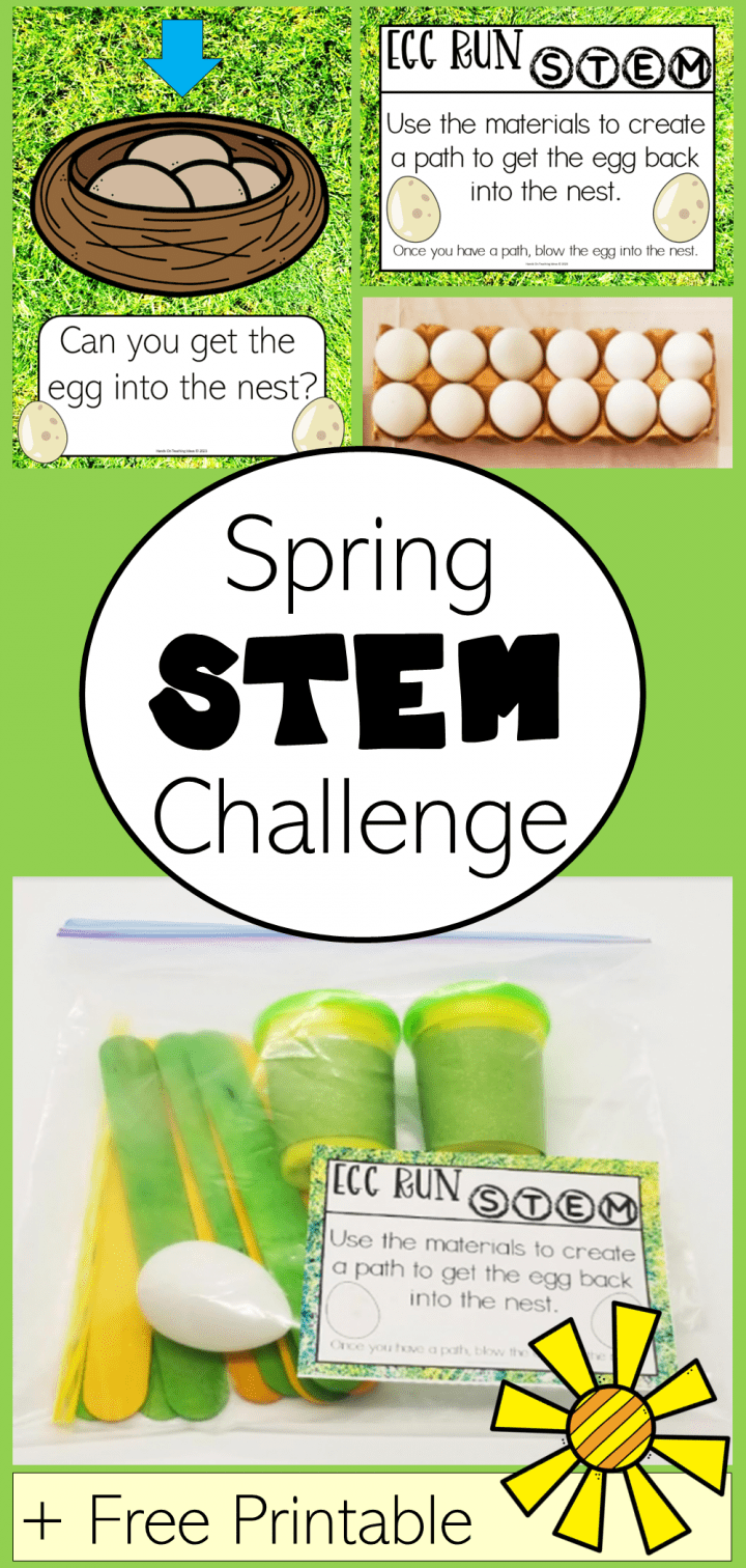 Spring STEM Activity For Kids Free Printable 