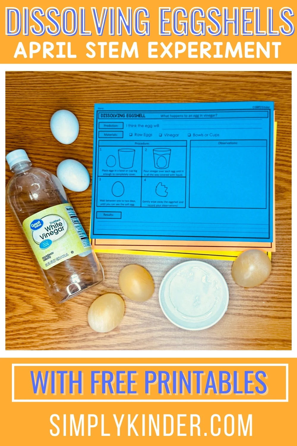 Free Printable Preschool Stem Ideas