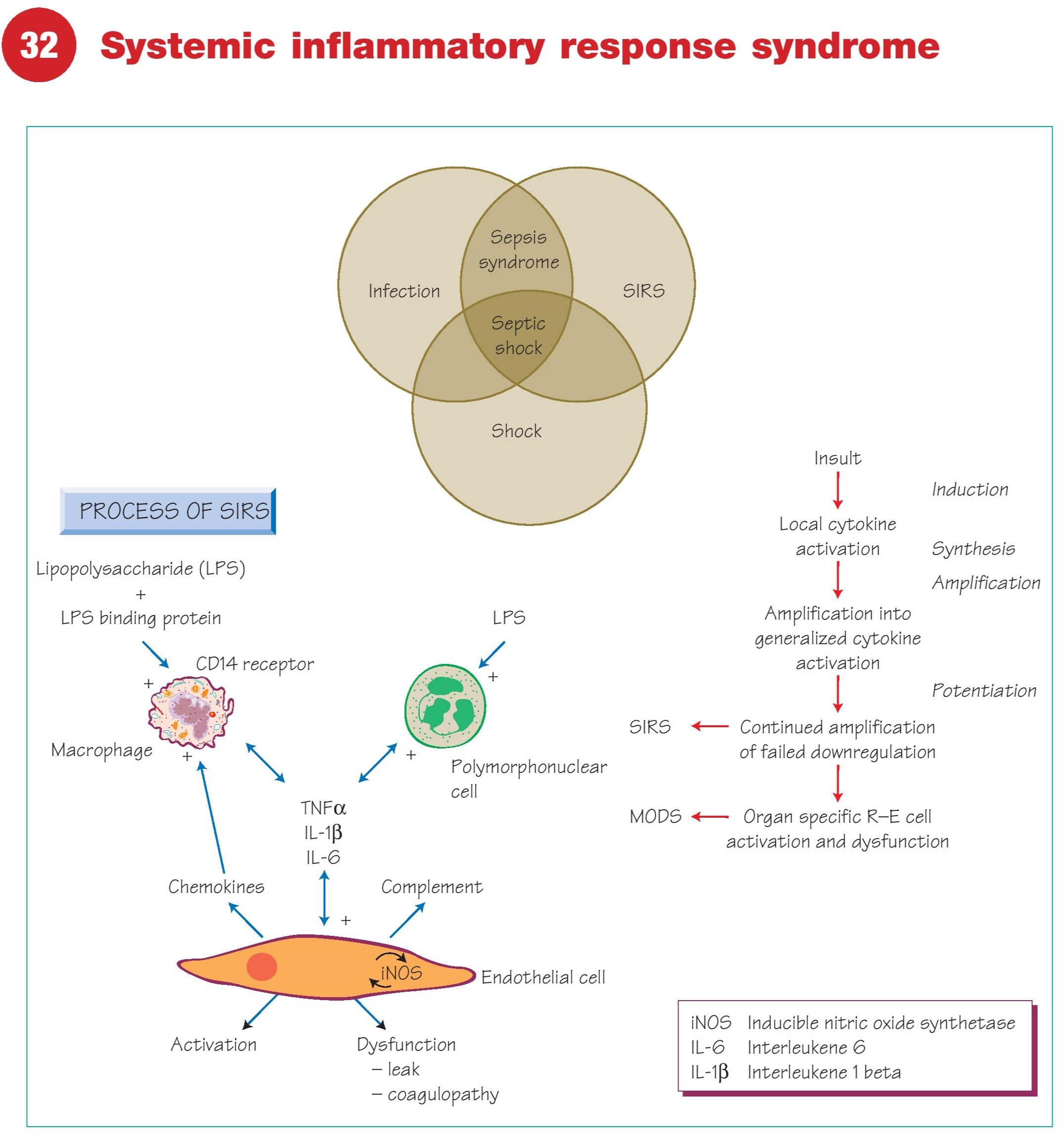 Systemic Inflammatory Response Syndrome SIRS 