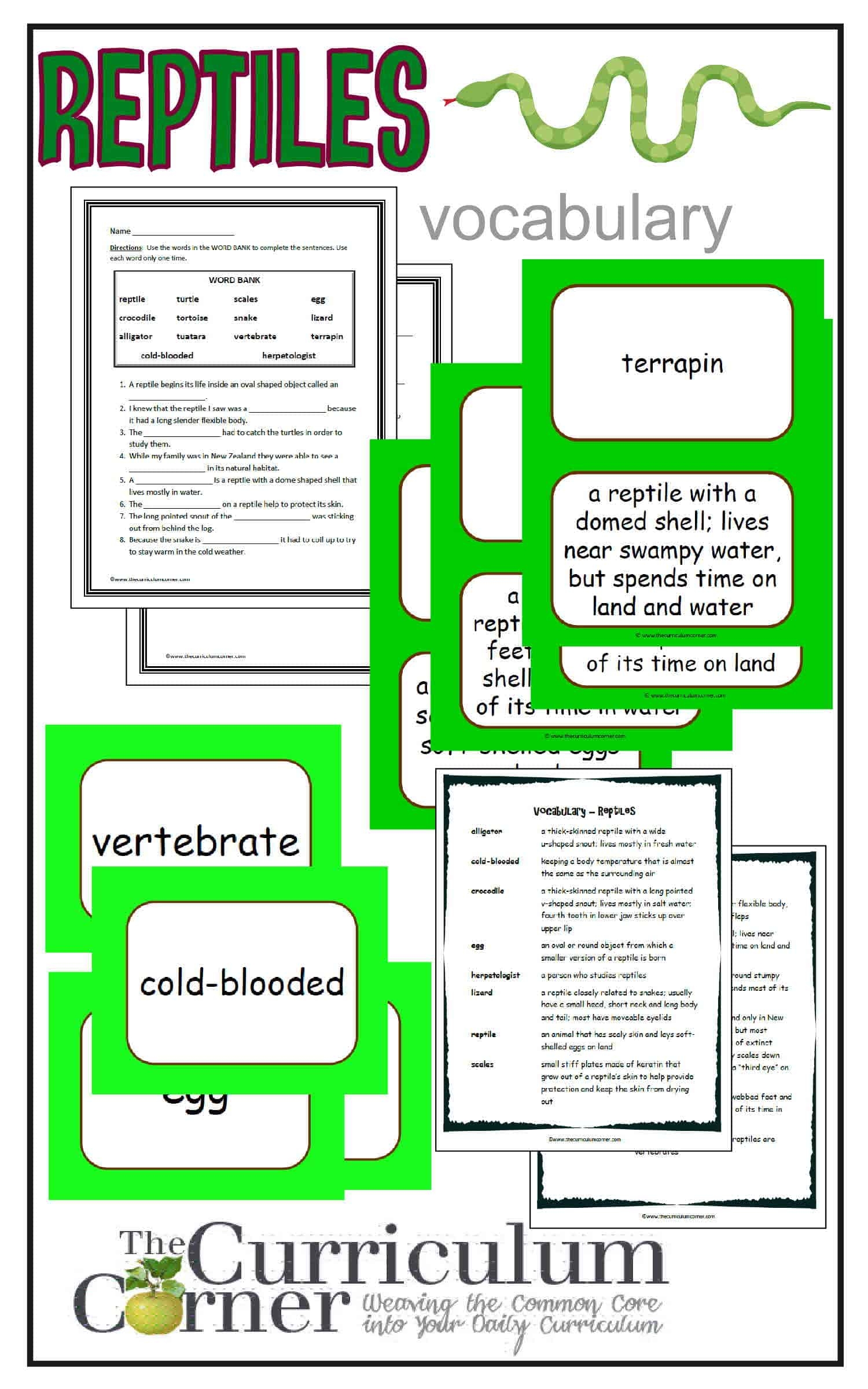 Weekly Themed Vocabulary Words amp Activities Set 3 Reptiles 